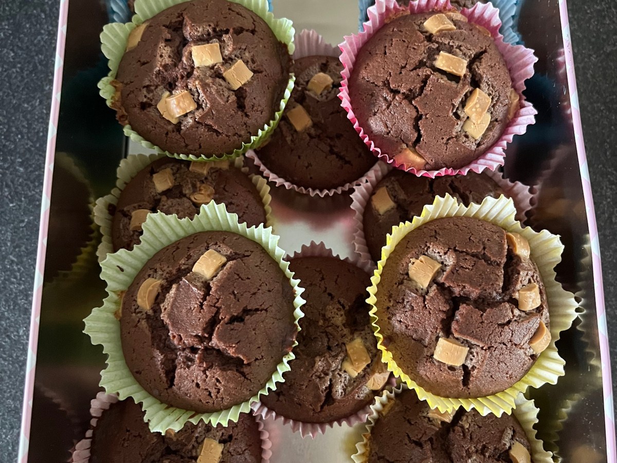 Muffin al cioccolato (solo albumi e gluten&nbsp;free)
